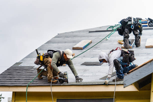 Professional Flat Roof Repair technician working in Long Branch, VA