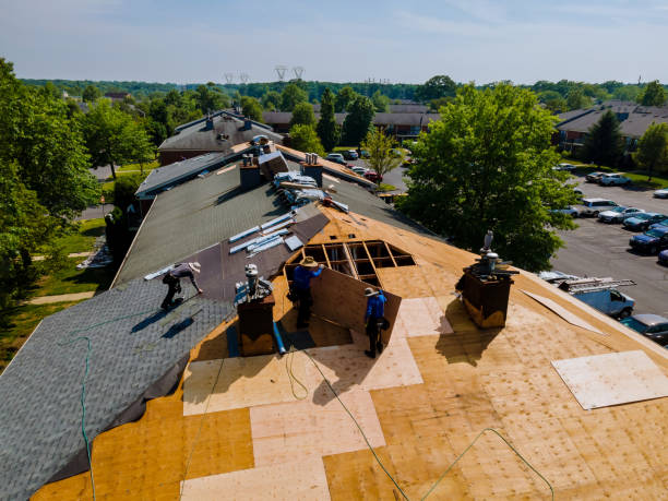 24/7 Emergency Flat Roof Repair experts in Long Branch, VA
